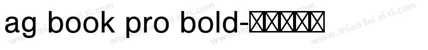 ag book pro bold字体转换